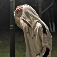 与神灵讨伐猫咪