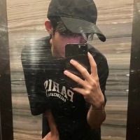 向阳花盛开于他夏