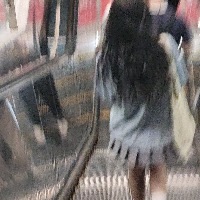 岛心似梦似成殇