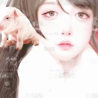 逗比逗比你别闹