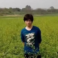 滥情年代何为忠贞