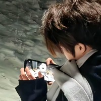 花落流年花开梦惜